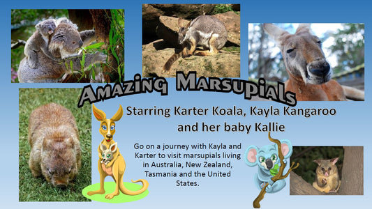 Amazing Marsupials